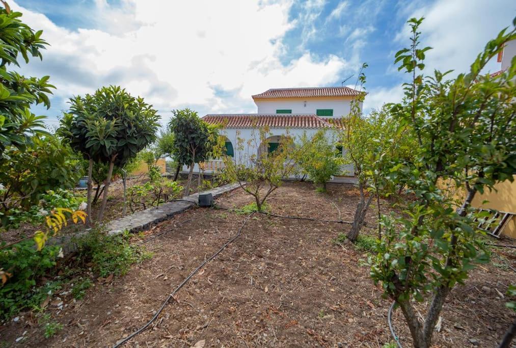 Villa Teram 알라예로 외부 사진